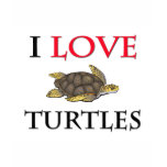 I Love Turtles