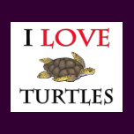 I Love Turtles