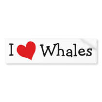 I Love Whales bumper stickers by definingyou I Love Whales bumper stickers