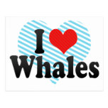 I Love Whales Post Cards