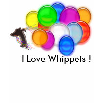 I Love Whippets ! t-shirts