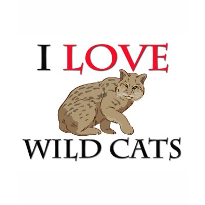 I Love Wild Cats T Shirts by tshirtshirts