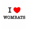 I Love WOMBATS t-shirts
