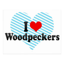 I Love Woodpeckers Post Cards