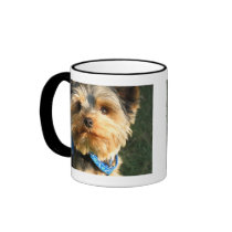 I Love Yorkies Coffee Mug