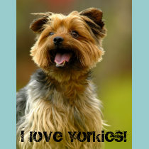 I love Yorkies! T-shirt