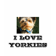 I Love Yorkies shirt