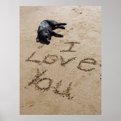 i love you huge. I love you beach and dog poster huge by Fanattic. I love you beach and dog poster huge