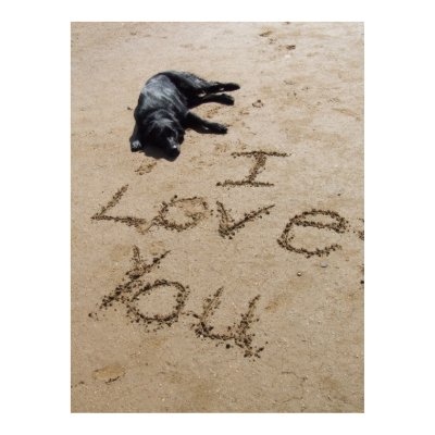 I love you beach and dog poster huge by Fanattic. I love you beach and dog poster huge