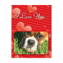 I Love You boxer dog postcards