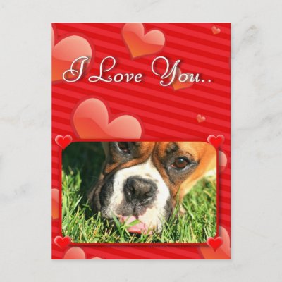 I love you boxer dog postcard