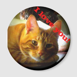 I Love You Cat Photo Magnet