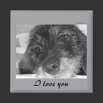 I love you - Dachshund magnet magnets