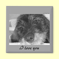 I love you - Dachshund magnet