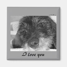 I love you - Dachshund magnet