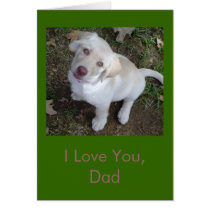 I Love You, Dad - Yellow Lab Puppy Father's Day cards