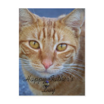 I Love you Daddy_Postcard by ELENNE I Love you Daddy_Postcard