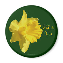 I Love You Daffodil Flower Photo Magnet