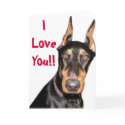 I Love You!! Doberman  cards