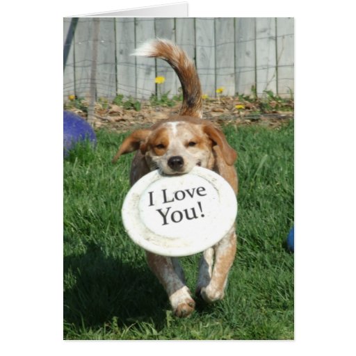 I Love You Dog Greeting Card Zazzle