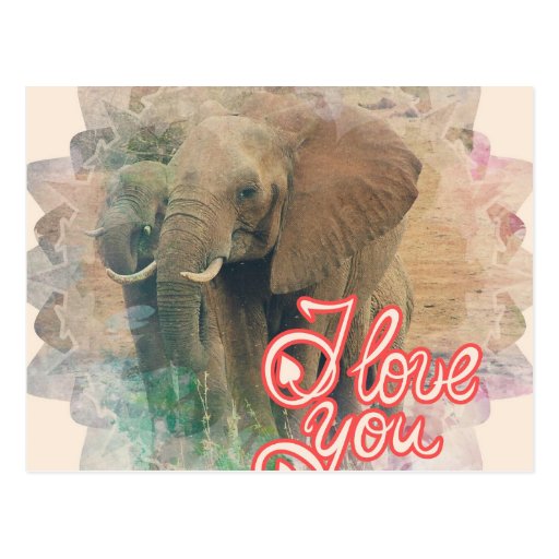 just one you elephant lovey