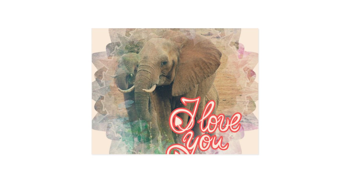 just one you elephant lovey