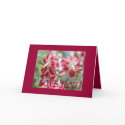 I LOVE YOU! Greeting card by zazzitup I LOVE YOU! Greeting card