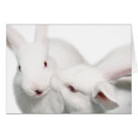 I love you greeting card