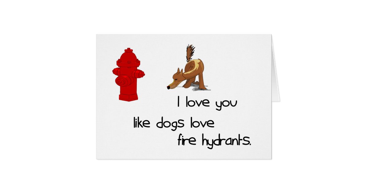 I Love You Like Dogs Love Fire Hydrants Card Zazzle
