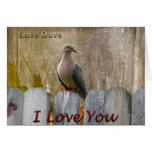I Love You Love Dove Card