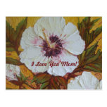 'I Love You Mom' White Hibiscus Mother's Day Post Card