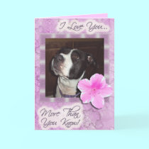 I Love You More Than You Know! cards