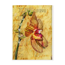 I love you Mum postcards by Squealia I love you Mum postcards