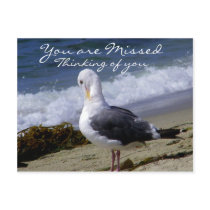 I love You_ Post Cards