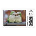 I Love You! postage by brooklynparrots I Love You! postage