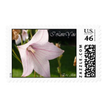 I Love You Postage stamps