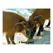 I love you! posters