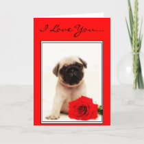 pug i love you look