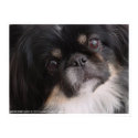 I love you puppy posters by pawtraitart I love you puppy posters