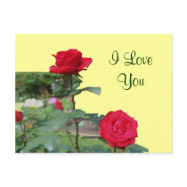 I Love You Red Roses Flower Photo Postcard by SmilinEyesTreasures I Love You Red Roses Flower Photo Postcard