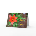 i love you-Red Tulip Card cards