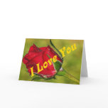 I love you Rose Bud Card
