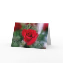 I LOVE YOU Rose cards by sexycher I LOVE YOU Rose cards