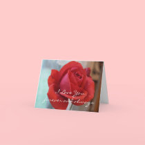 I Love You Rose Card