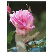 I Love You Rose letterhead by DeafShopper I Love You Rose letterhead