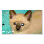 I love you siamese kitten photography