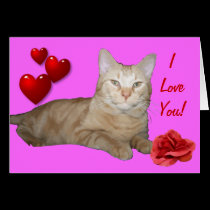 I Love You Valentine Card cards