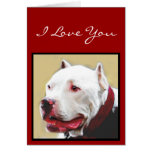 I Love You White Pit Bull Greeting Card