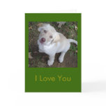I Love You - You're My Favorite Human Greeting Cards