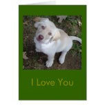 I Love You - You're My Favorite Human Greeting Cards